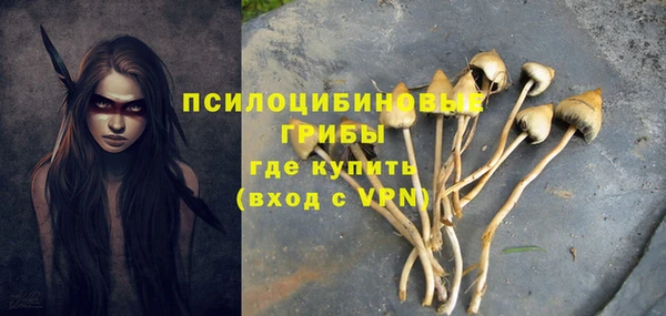 твердый Алексин