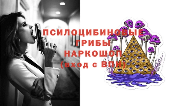 твердый Алексин