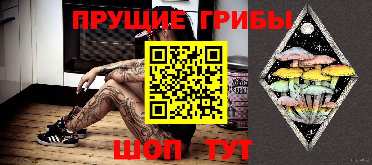 Галлюциногенные грибы GOLDEN TEACHER  Псилоцибиновые грибы ЛСД  Вход с VPN  Чапаевск 
