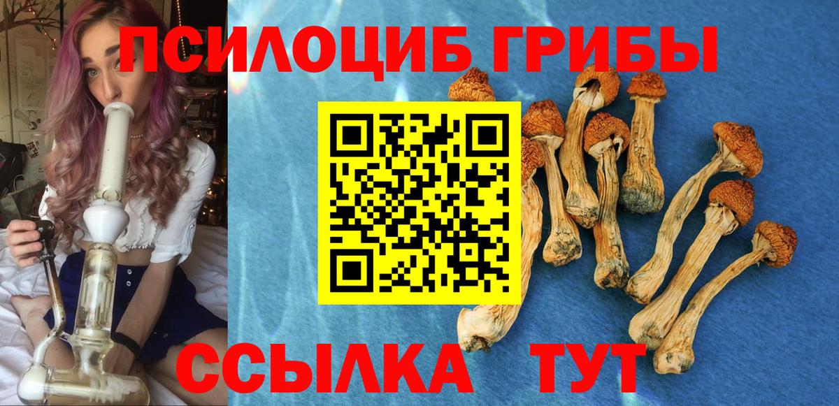 Псилоцибиновые грибы MAGIC MUSHROOMS Чапаевск